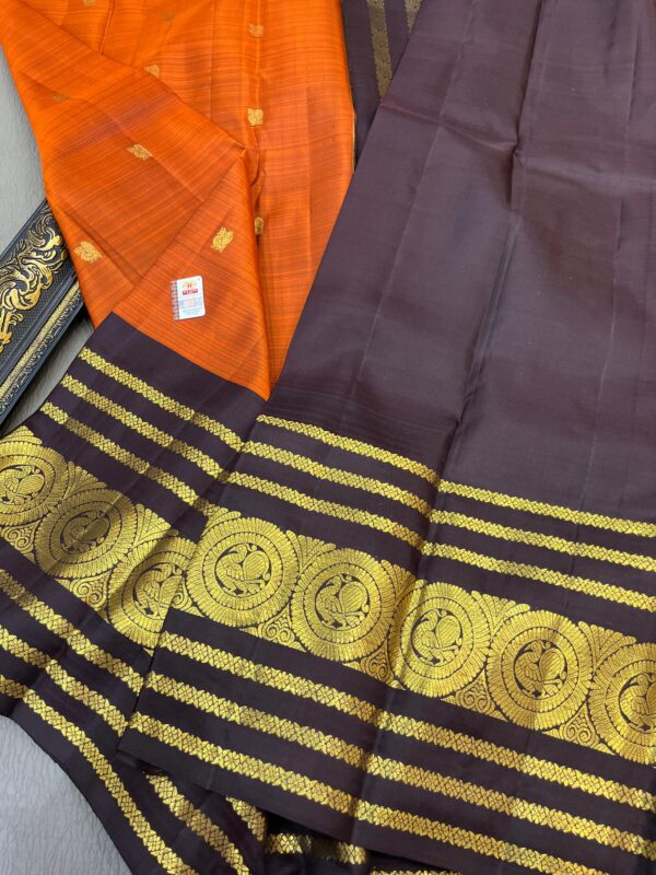 kanchipattu saree